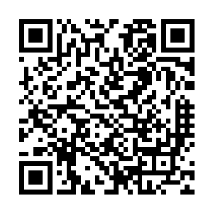 他们乌丸以及鲜卑在不久的将来也会遭到鬼神军的入侵二维码生成
