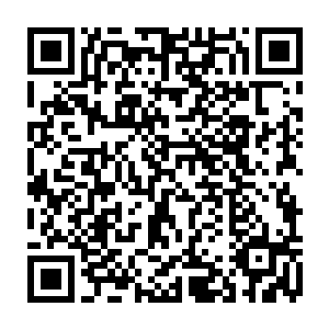 他们乐此不疲地研究着这根特殊的藤蔓――它拥有强大的复生能力和攻击性二维码生成