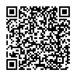 他们乘乱在往返于清朝和暹罗的运米船中逃了出来最终一路逃到了清朝二维码生成