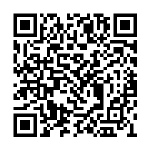 他们也一直就在等着向天明和幻盟大长老的出现二维码生成