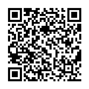 他们也万万没想到一个大歌星居然陪着一个劳改犯来逛歌厅二维码生成