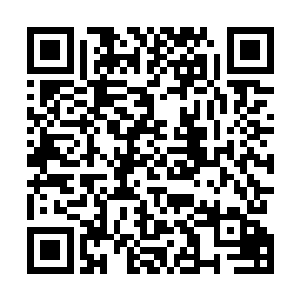他们也不过是因为催心蛊的缘故才会与自己这般不死不休二维码生成