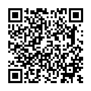 他们也从血修罗处得到了不少有关于这北狱鬼王殿的情报二维码生成