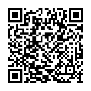 他们也似乎没有毕其功于一役的战略头脑和勇气二维码生成