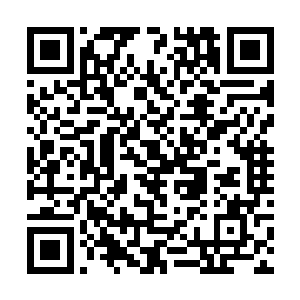 他们也只是评估为太极拳也只是一个绣花枕头的武术二维码生成