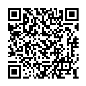 他们也就不会拿出猪女打野杰斯adc这种奇葩阵容二维码生成