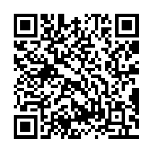 他们也希望通过堂堂正正的政党竞争来证明自己的存在二维码生成