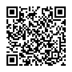 他们也必须回避这个地方势必会发生一场世纪大战二维码生成