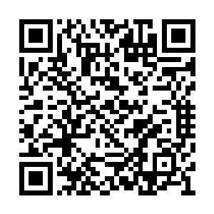 他们也想要为我和粉丝之间搭建一个沟通的桥梁二维码生成