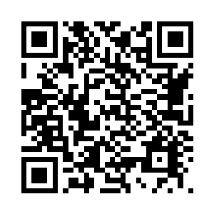 他们也想要像夏天他们这样活的洒脱二维码生成