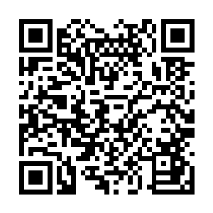 他们也感觉到了楚晨炼制出的最后一种丹药的不凡二维码生成