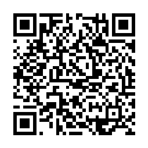 他们也愿意将自己的前途放在李建雄的身上赌一赌二维码生成