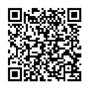 他们也是将逐鹿之地外围自己世家的人全都叫走了二维码生成