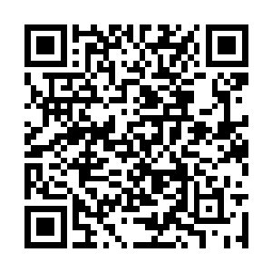 他们也被这种未曾见过的石门开启方式惊讶了片刻二维码生成