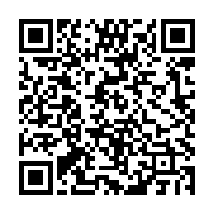 他们也要为此担上一部分责任――你们两个平民百姓二维码生成