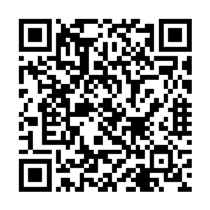 他们也要也用自己的行动来表示他们是忠于青火部落二维码生成
