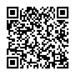 他们二人争先抢后的从苏林刚才逃走时劈开的墙壁冲入二维码生成