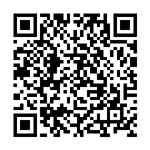 他们二人天经地义般将自己的实力凌驾于众人的身上二维码生成