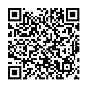 他们二人打破脑袋也不会想到张萧晗是怎样带出来蜂蜜的二维码生成