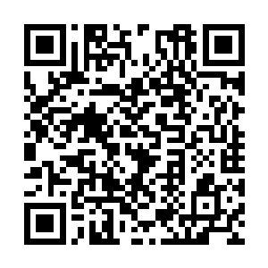 他们二人未必不是一对相敬如宾举案齐眉的好夫妻二维码生成