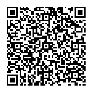 他们二人都没有忘记华夏九曾经很认真让他们所做的唯一一件事情――――尽快将剑修一脉和无情一脉掌控二维码生成