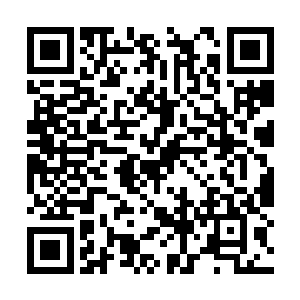 他们五个人是消耗不完这么多的牛视紫红质蛋白的二维码生成