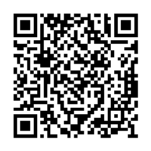 他们五个是本派此次斗剑盛会上最为杰出的弟子二维码生成