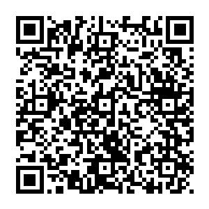 他们五名散修见碧海区区一个圣王强者面对自己这边九名圣皇强者不仅不客客气气的行礼二维码生成