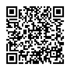 他们亦无法彻底摆脱长时间冬眠带来的骨质疏松二维码生成