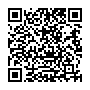 他们今天与崔离和广南王的郡主在乾门外相遇的确是偶然二维码生成