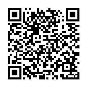 他们今天晚上就会将尸体扔到城外的后山进行掩埋二维码生成