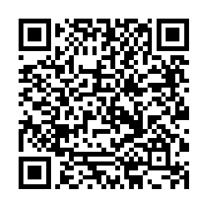 他们仍旧受到自身惯性和四号行星引力圈的互相作用二维码生成