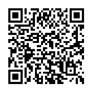 他们从出生就不是和一般修士在同一个起跑线上二维码生成
