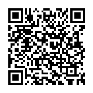他们从夏天和夏天这些兄弟们的身上看到了希望二维码生成