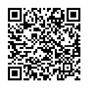 他们从未以政府的身份在任何的电视机媒体前面承认过错误二维码生成