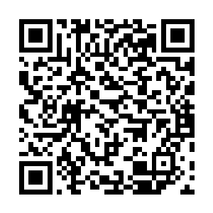 他们从未经历过人类在虚空猎手的庇护下瑟瑟发抖的日子二维码生成