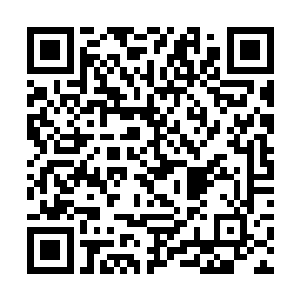 他们任何一个人的身体都无法承受文森特狂暴的拳劲二维码生成