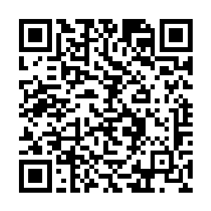 他们仿佛看到了那个叫无道的青年在中年武者的刀下二维码生成
