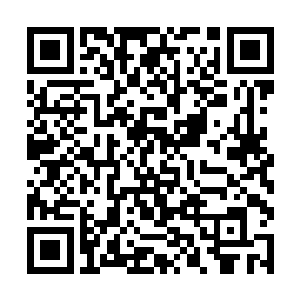 他们会不会是害怕太早的狙杀咱们会吓走别的人族呢二维码生成