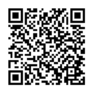 他们会定期摘下品相最佳也最香甜的果子摆放在冰蓝里二维码生成
