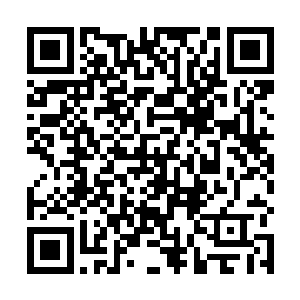 他们会惊讶的发现白露星此时就像一颗巨大的白色灯泡二维码生成