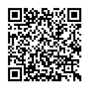 他们会自发的组织起来去攻打豪族……这样一来二维码生成