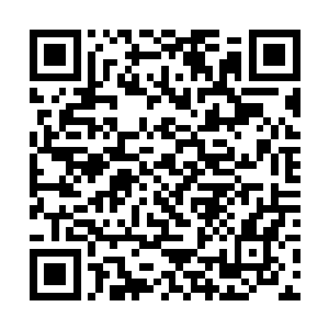 他们会随便抓两个最势弱的小宫女或者小太监来顶罪二维码生成