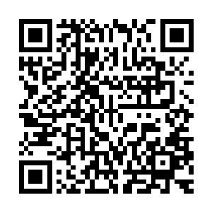 他们伤口上涂抹了上等的疗伤圣药以及一些专门治疗内当的丹药二维码生成