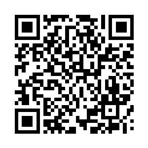 他们似乎可以自然而然适应各种环境二维码生成