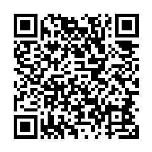 他们似乎把这一场祸事当成了普通的荒野妖兽来袭二维码生成