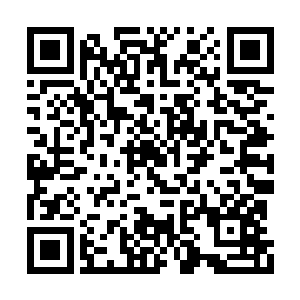 他们似有说不完的话莫昕岚对陆凌风的丝丝情谊二维码生成