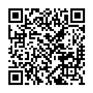 他们何曾见过如此多的宗王境之上强者交锋群兽二维码生成