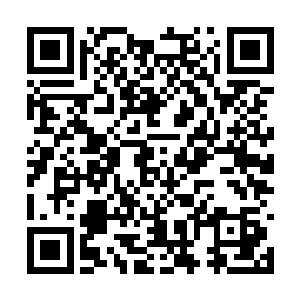 他们何曾见过小公主跟一个年轻男子这般打情骂俏二维码生成