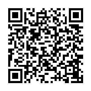 他们依然不觉得秦方有战胜这么多人的可能……可现在二维码生成